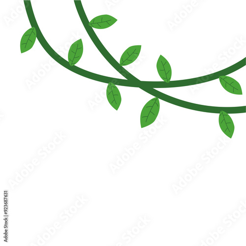 Jungle frames. Green vine. Tree foliage. Rainforest liana. Cartoon plants. Creeper branch. Grass and wood leaf signs.