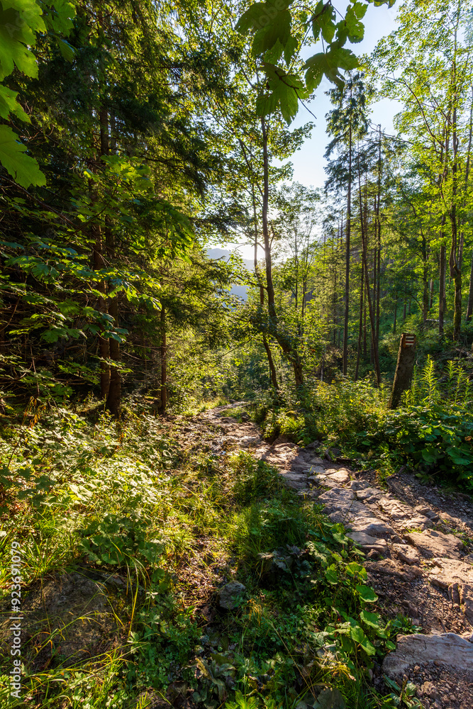 Mountain trail in the Strążyska Valley in the Polish Tatra Mountains. Mountain trail in the Strążyska Valley in the Polish Tatra Mountains.