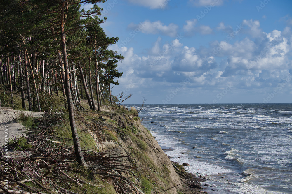 Scenic coastline with lush forest and crashing waves under a vibrant blue sky with fluffy clouds Scenic coastline with lush forest and crashing waves under a vibrant blue sky with fluffy clouds