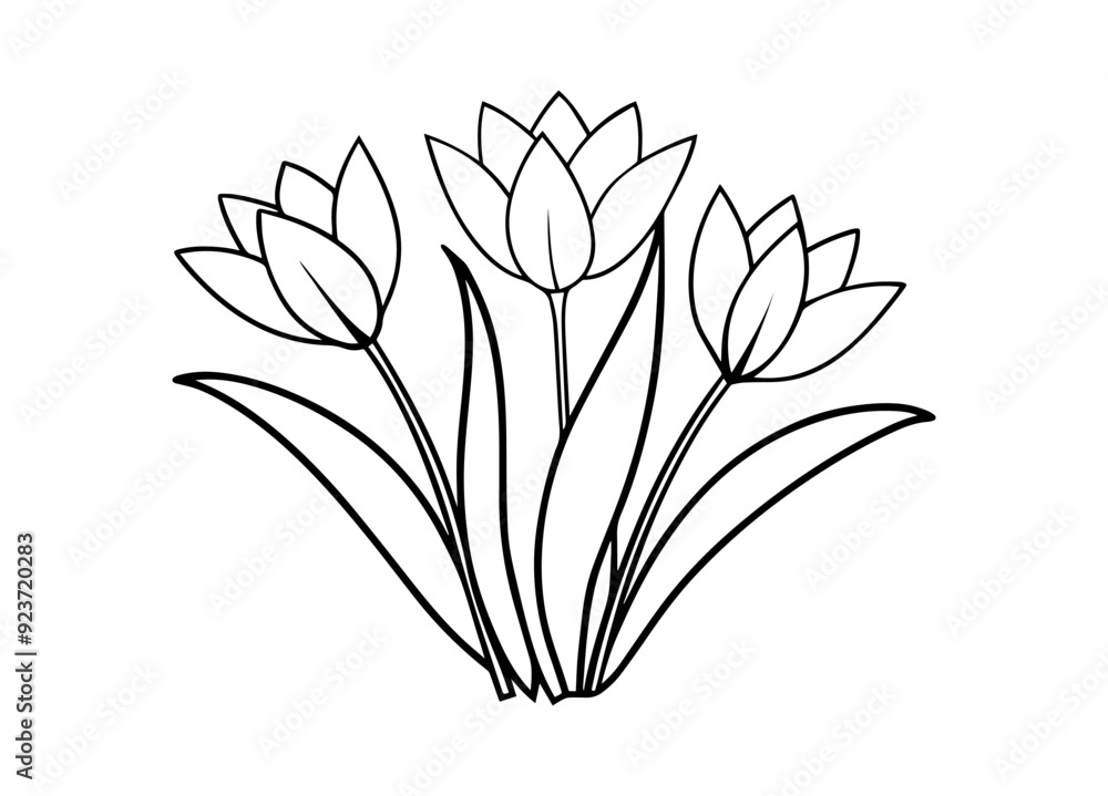 spring flowers vector illustration, line art spring flowers vector illustration, line art