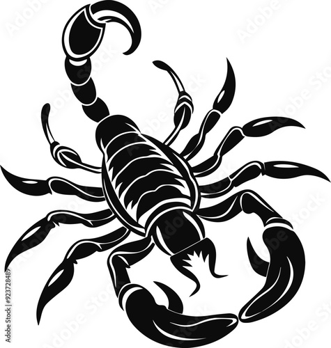 scorpion silhouette vector illustration