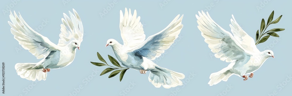 Isolated white pigeon on a white background with a flying white dove and olive branch. Symbol of peace. Isolated white pigeon on a white background with a flying white dove and olive branch. Symbol of peace.