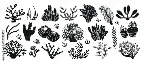 Coral set. Underwater sea coral reef and seaweeds black silhouettes. Vector set of diverse plant species found in reef ecosystems. 