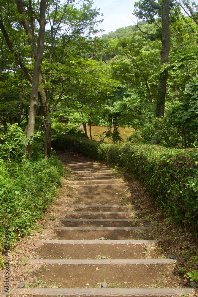 舞岡公園の景色 真夏 神奈川県戸塚区舞岡町 舞岡公園の景色 真夏 神奈川県戸塚区舞岡町