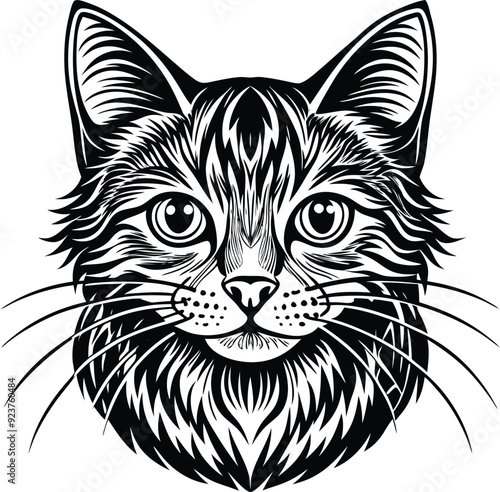 a black and white drawing of a cat with a black and white face.