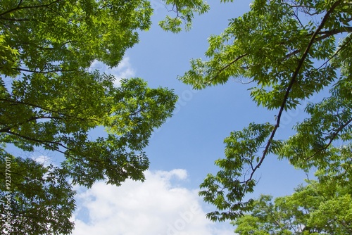舞岡公園の景色　真夏　神奈川県戸塚区舞岡町