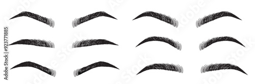 Eyebrow shapes. Various types of eyebrows. Classic type and other. Trimming. Vector illustration with different thickness of brows. Makeup tips