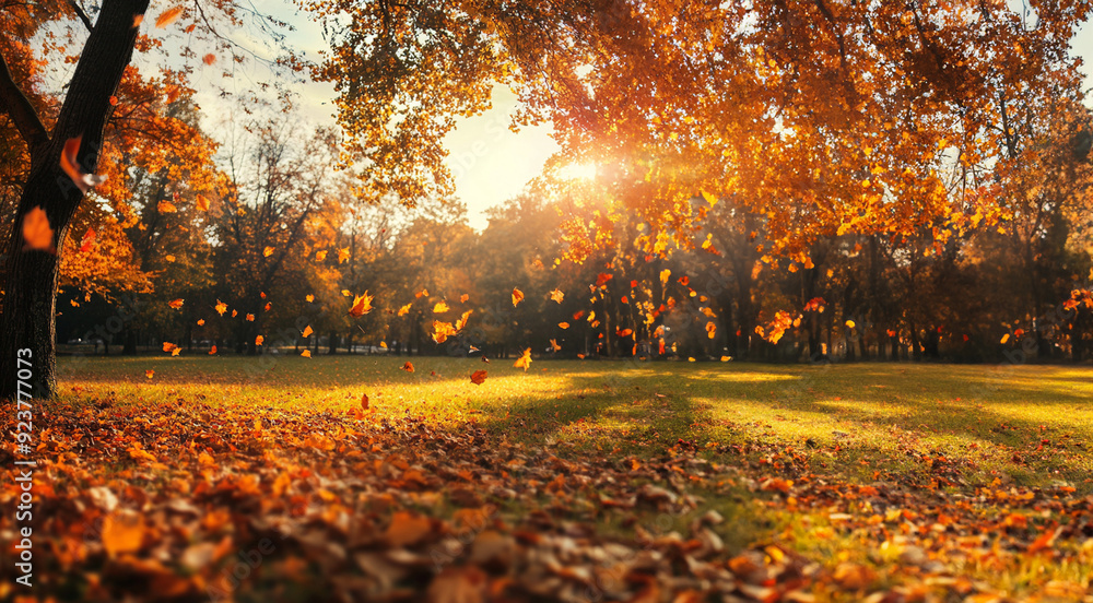 autumn leaves falling from trees in a park 