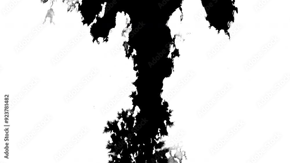 Black ink top down artistic flow splatter spots spills white paper beautiful reveal dripping streaks spread fluid ink alpha matte isolated watercolor ink drops transition
Black ink top down artistic flow splatter spots spills white paper beautiful reveal dripping streaks spread fluid ink alpha matte isolated watercolor ink drops transition