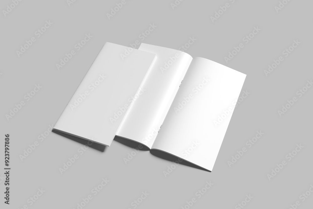 Dl Brochure Open Blank Background Dl Brochure Open Blank Background