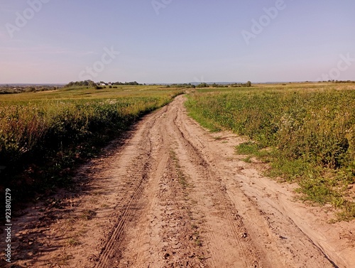 A picturesque dirt road stretches across the fields far beyond the horizon. Fields with green plantings of mysterious soybean plants.