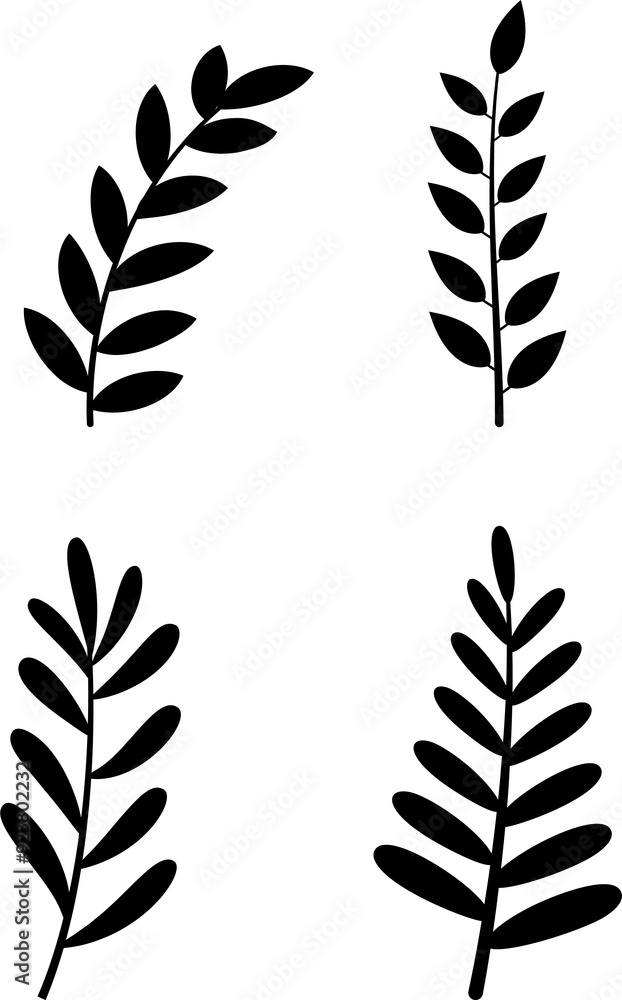 Set of tree branches with leaves, eucalyptus, laurel, olive, vine silhouettes Set of tree branches with leaves, eucalyptus, laurel, olive, vine silhouettes