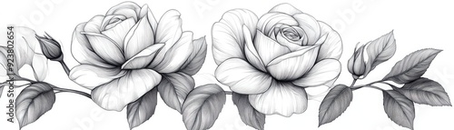 Minimalist line art of a rose bouquet, clean and simple design, black on white, [flower clipart], [bouquet], [outline]