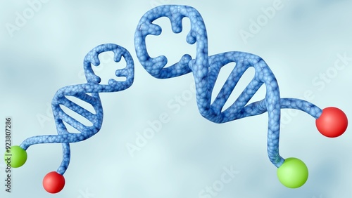 3d rendering of molecular beacons, are DNA probes designed to detect specific nucleic acid sequences with high specificity and sensitivity in molecular biology and genetics research photo