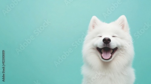 Happy Samoyed Dog Against a Mint Background