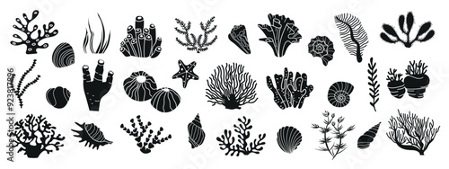 Vector set with seaweeds, corals and seashells. Underwater flora, ocean plants, seaweed. Black silhouettes of sea elements isolated on white. Set of tropical seabed vector elements.
