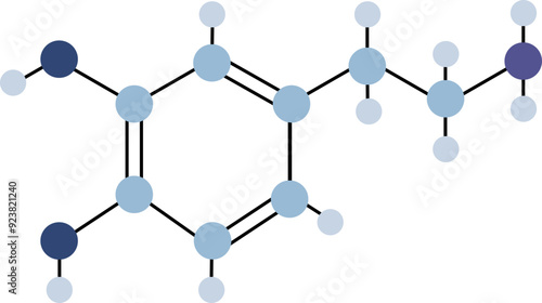 Dopamine Molecular Structure,
neurotransmitter hormone,
C8H11N02, Flat 2D illustration
