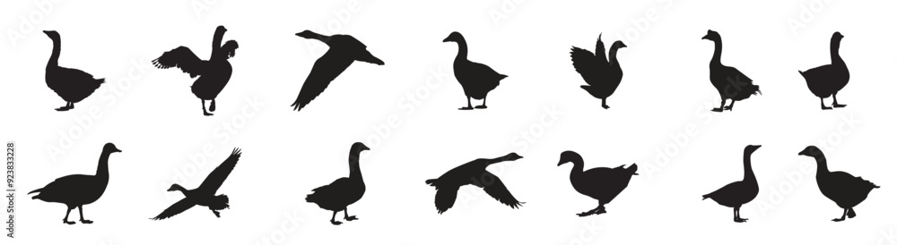 Naklejka premium silhouette of Goose 