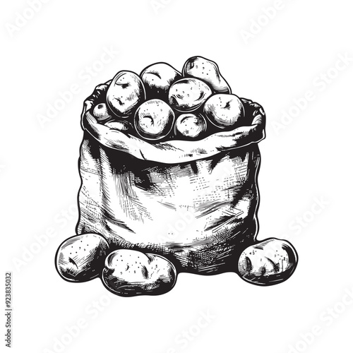 Vector design of a sack of potatoes on a white background - Black and white sketch of a sack of potatoes