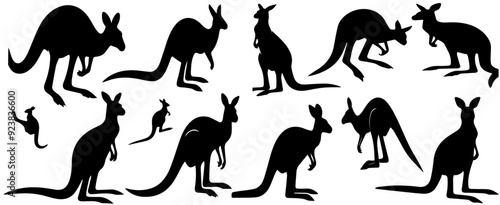 Set silhouettes of kangaroo, different poses, black color, isolated on white background Vector illustrations