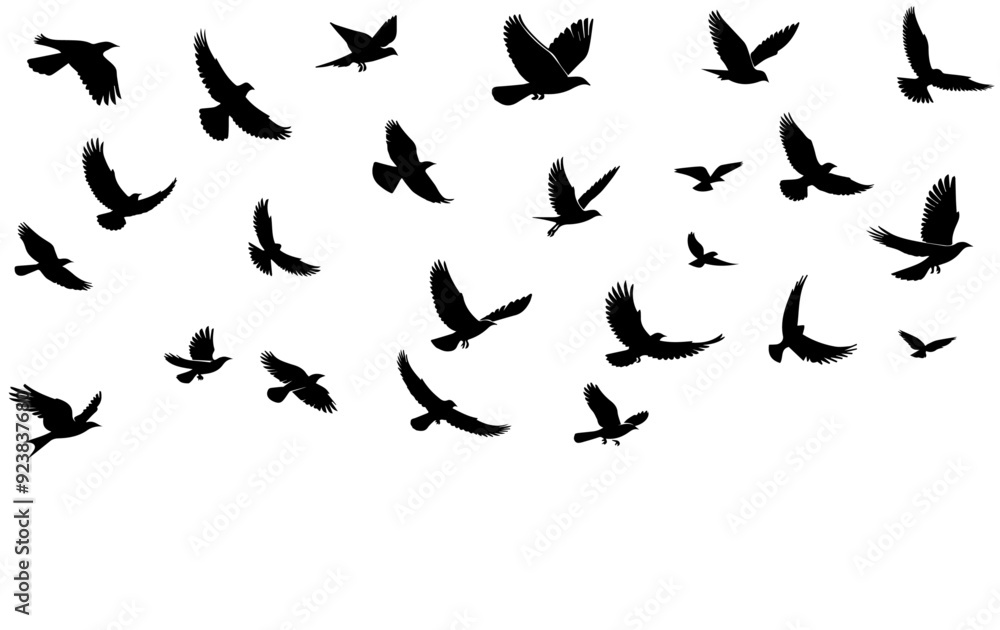 A FLOCK OF BIRDS A FLOCK OF BIRDS