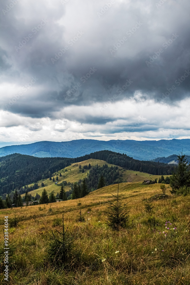 Landscapes - Forest - Europe, Romania, Suceava region Landscapes - Forest - Europe, Romania, Suceava region