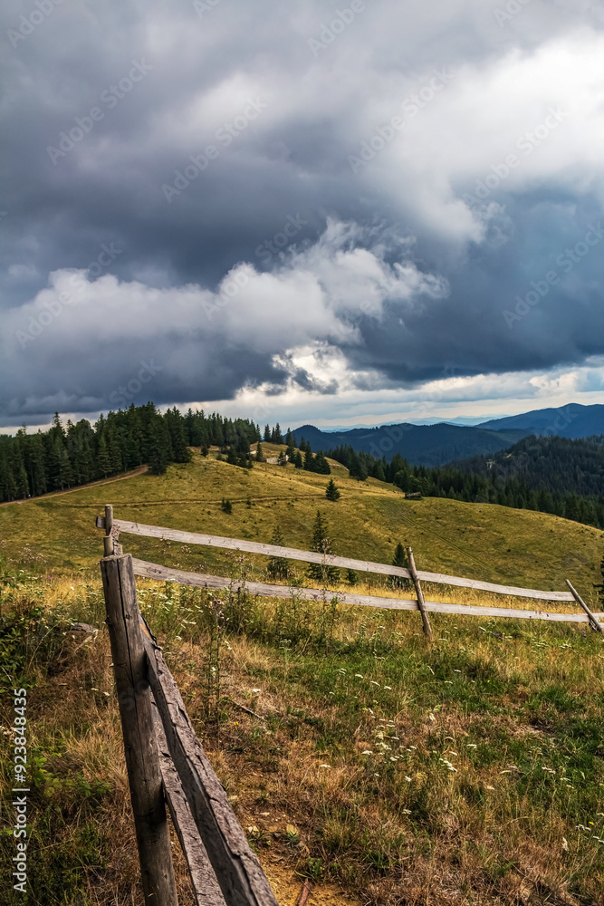 Fototapeta premium Landscapes - Forest - Europe, Romania, Suceava region
