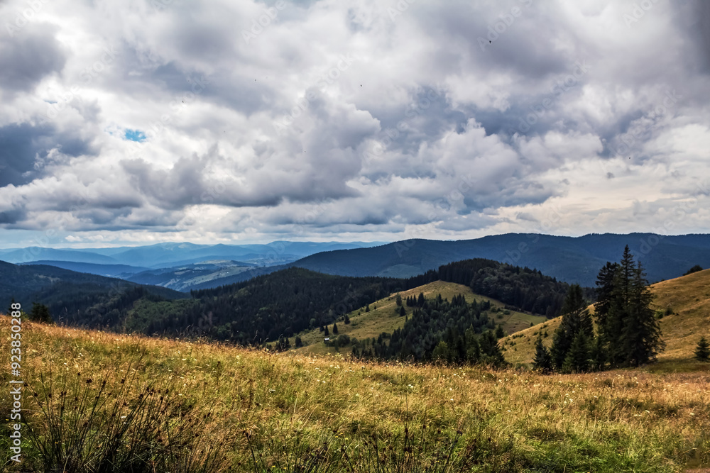 Fototapeta premium Landscapes - Forest - Europe, Romania, Suceava region