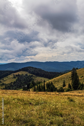 Landscapes - Forest - Europe, Romania, Suceava region