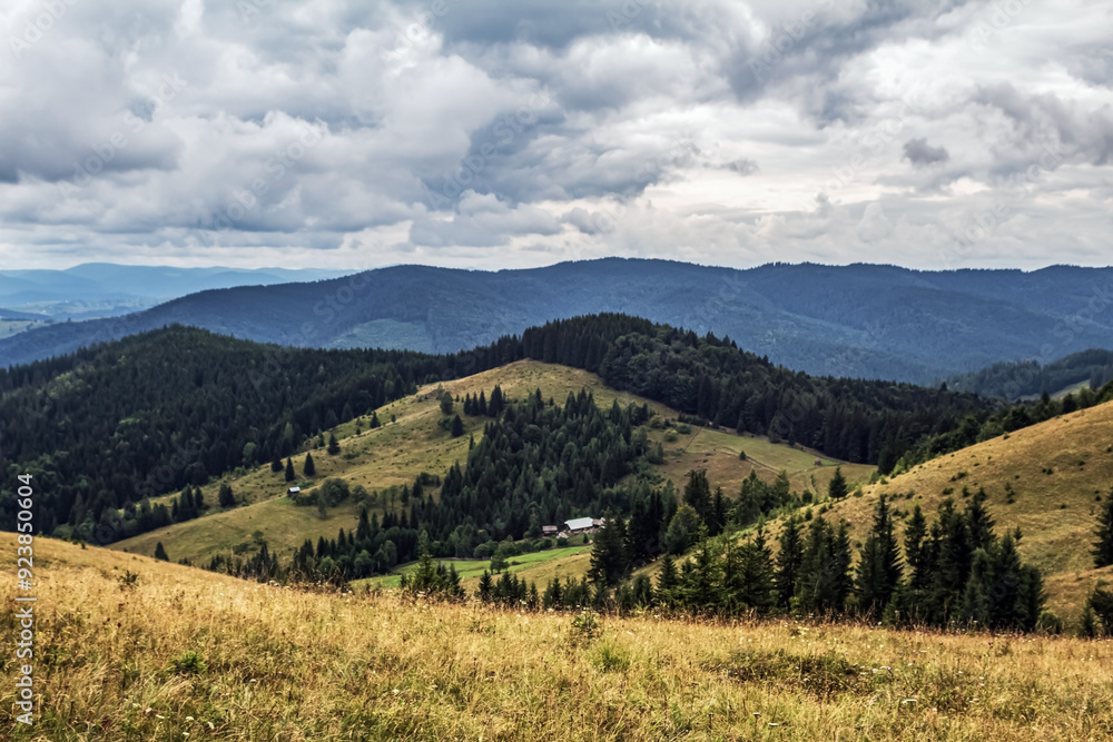 Landscapes - Forest - Europe, Romania, Suceava region Landscapes - Forest - Europe, Romania, Suceava region