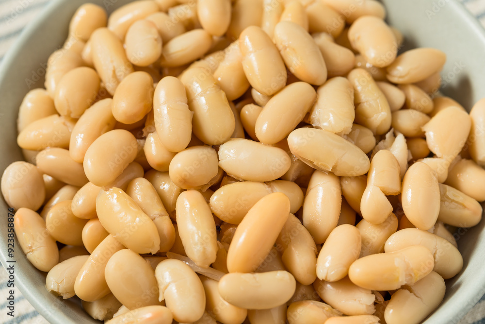 Healthy Organic White Cannelloni Beans Healthy Organic White Cannelloni Beans