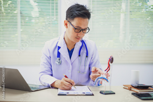 Urologist measures penis size