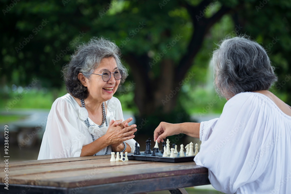 Happy Senior Women Playing Chess in the Park