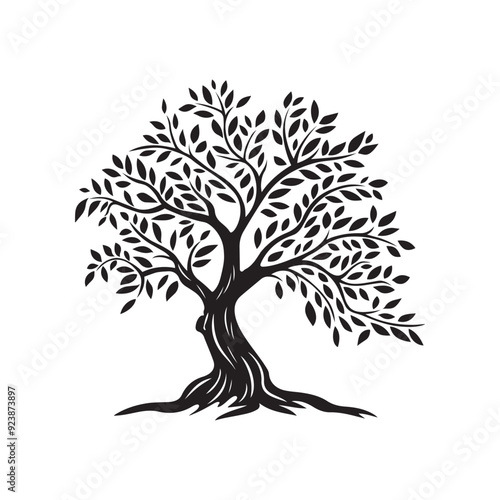 Olive tree vector logo design isolated on white background - black and white olive tree