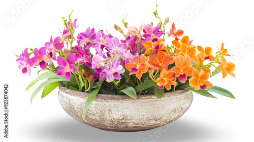 Wallpaper Mural Stunning arrangement of Dendrobium orchids in a beautifully designed decorative pot, perfectly isolated against a bright transparent background, highlighting their charm and beauty. Torontodigital.ca