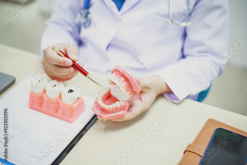 Dentures, dentures in the jaw, root canal treatment, gum disease, tooth models for dentists who are studying dentistry.
