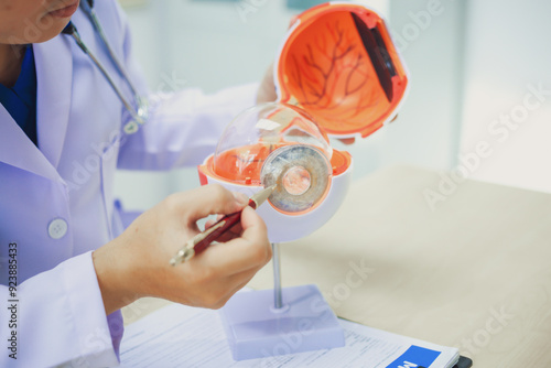 An ophthalmologist explains eye diseases using an eye model at an examination table in a hospital examination room. Glaucoma, cataracts, diabetic retinopathy.