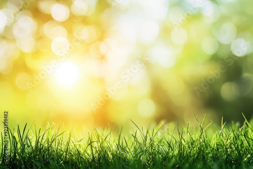 natural grass background with blurred bokeh and sun, ai