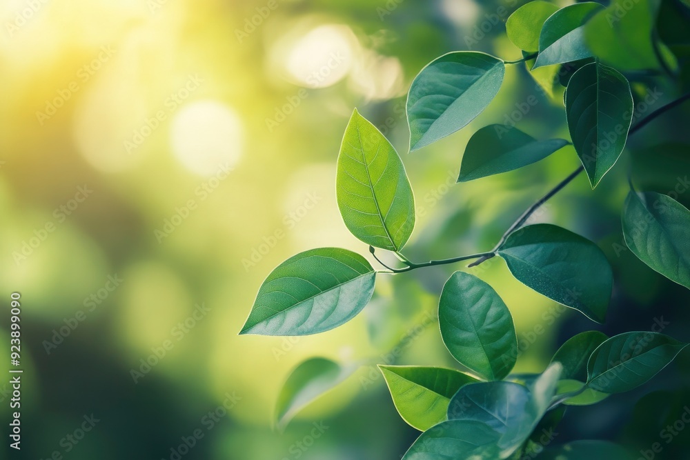 Nature of green leaf in garden at summer. Natural green leaves plants using as spring background cover page greenery environment ecology wallpaper , ai Nature of green leaf in garden at summer. Natural green leaves plants using as spring background cover page greenery environment ecology wallpaper , ai
