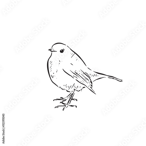A robin drawn by hand as a vector. A small bird side profile in a sketch doodle style. 