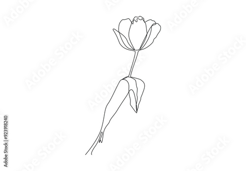 Flower continuous one line drawing Vector single line art