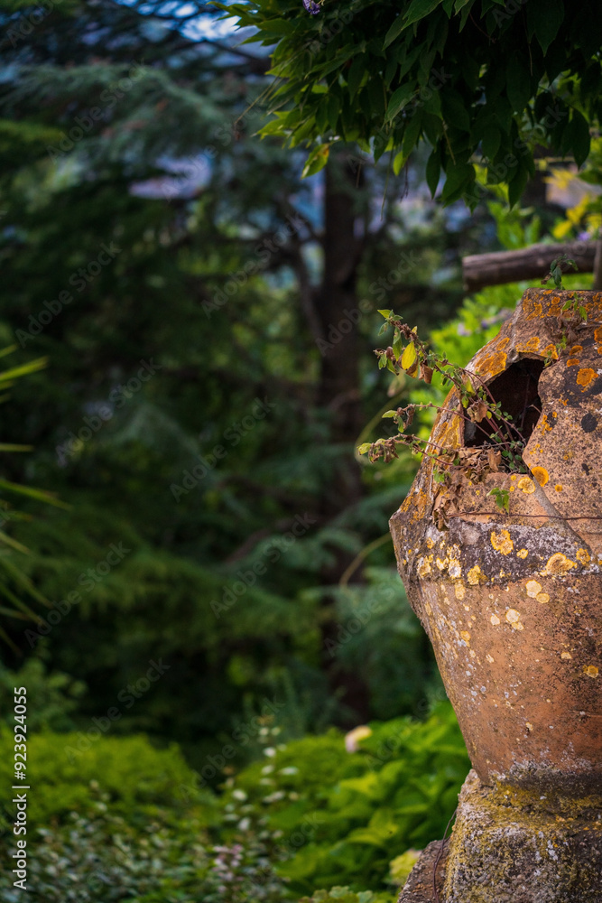 Old Stone Pot with Greenery in Lush Garden Setting, Terrace of Infinity, Gardens of Villa Cimbrone villa in ravello, Italy, Europe