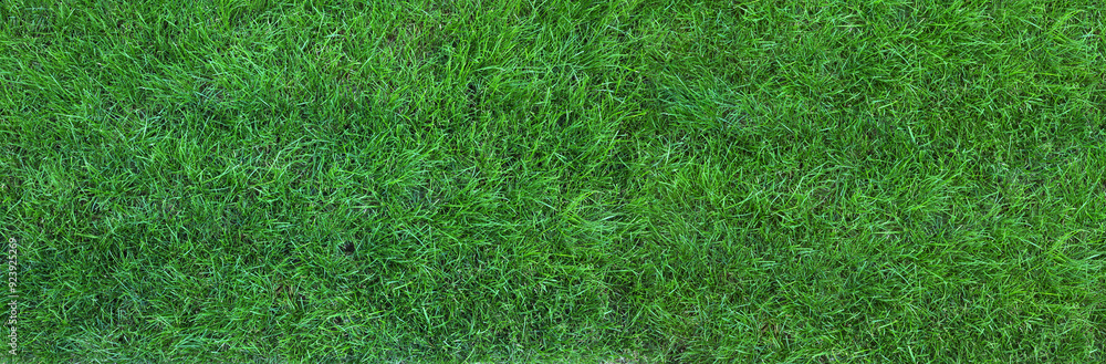 Green artificial grass as background, banner design Green artificial grass as background, banner design