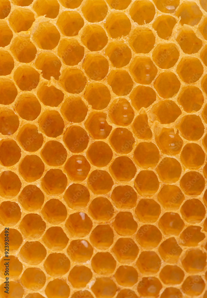 close up of honeycomb close up of honeycomb