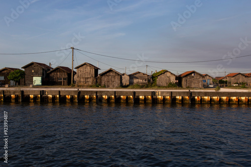 casas de ostras en el mar