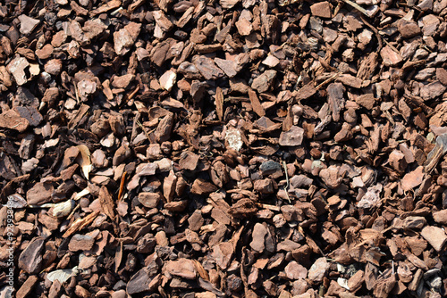 Wood Mulch on the ground