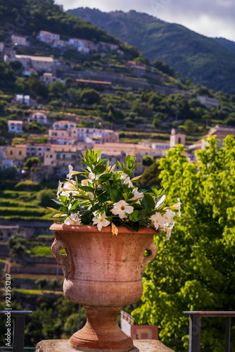 Obraz na płótnie Scenic View of Mountain Village with Flower Pot in Foreground, View-point of Ravello, Italy, Europe w salonie