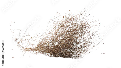 Obraz na płótnie tumbleweed transparent background w salonie