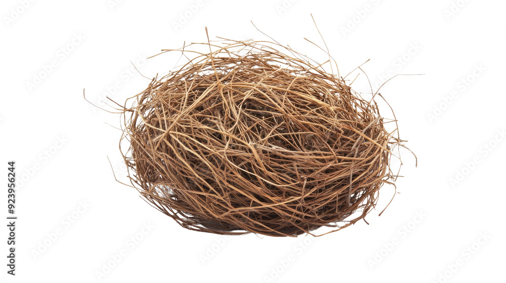 tumbleweed transparent background tumbleweed transparent background