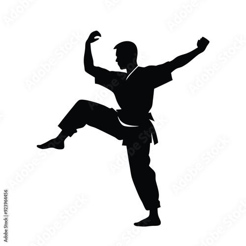 a Male martial arts kung fu man standing posing silhouette vector. isolated white background 